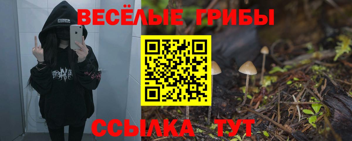 Псилоцибиновые грибы прущие грибы  Вход с VPN  Мыски 